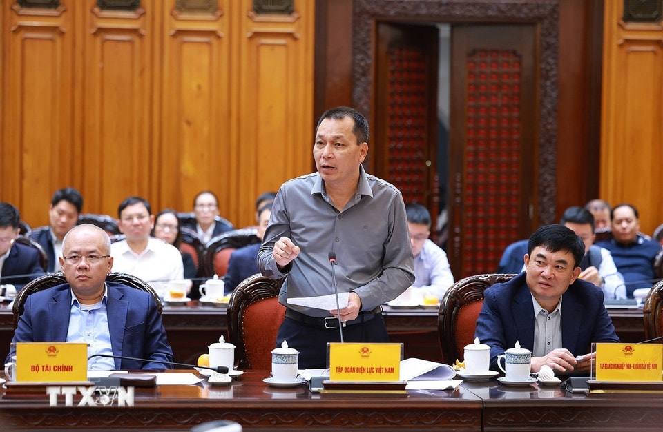 Chủ tịch Tập đoàn Điện lực Việt Nam Đặng Hoàng An phát biểu. (Ảnh: Dương Giang/TTXVN)