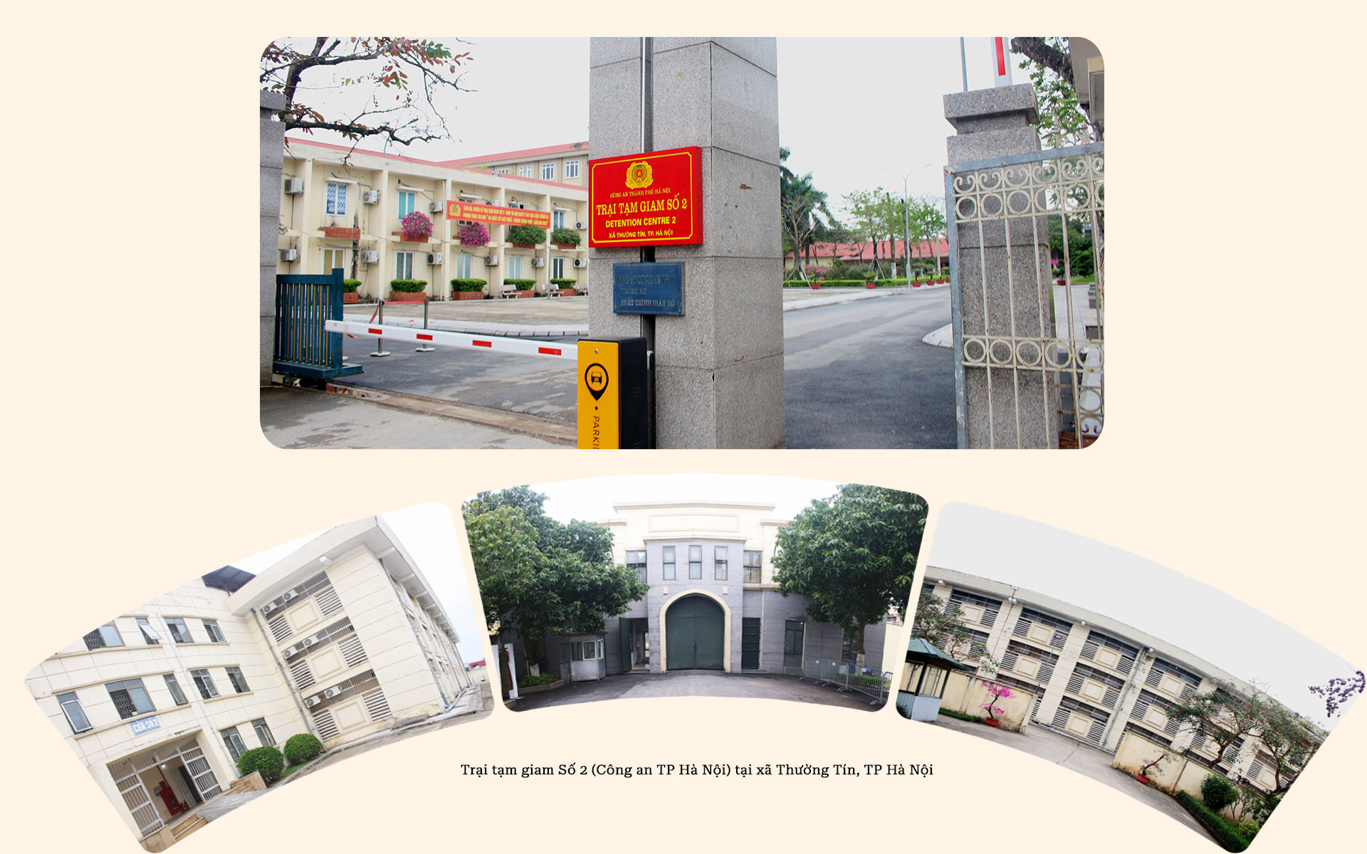 p1.jpg