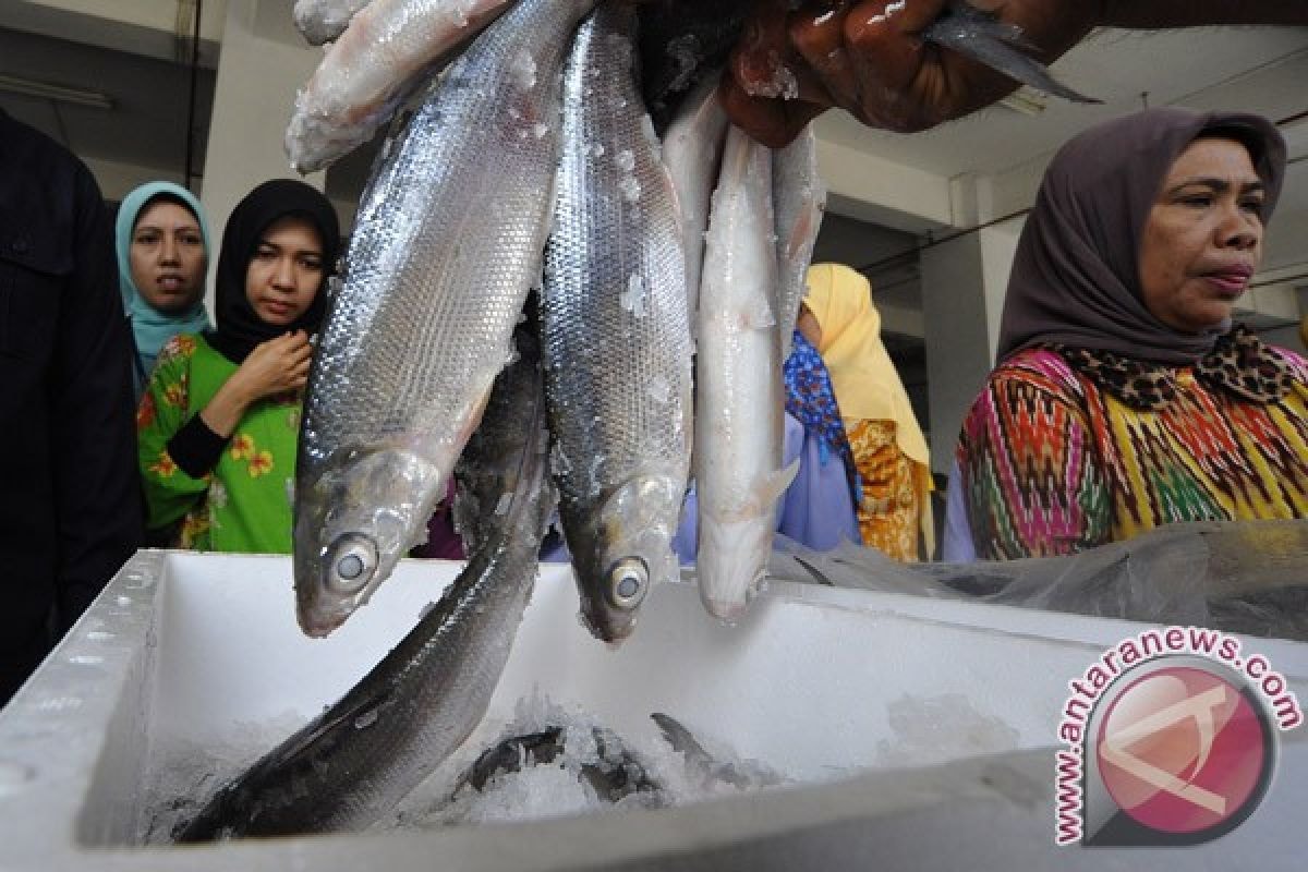 Indonesia seeks Norwegian support to develop fisheries industry - ANTARA News