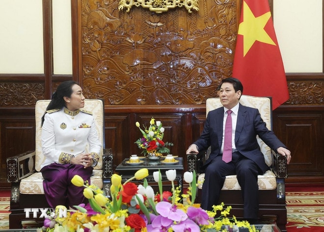 ttxvn-chu-tich-nuoc-tiep-dai-su-campuchia-trinh-quoc-thu-4.jpg
