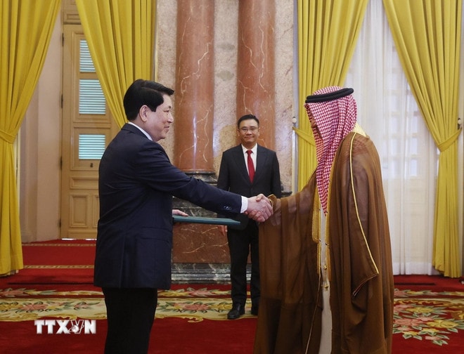 ttxvn-chu-tich-nuoc-luong-cuong-tiep-dai-su-saudi-arabia-trinh-quoc-thu-4.jpg