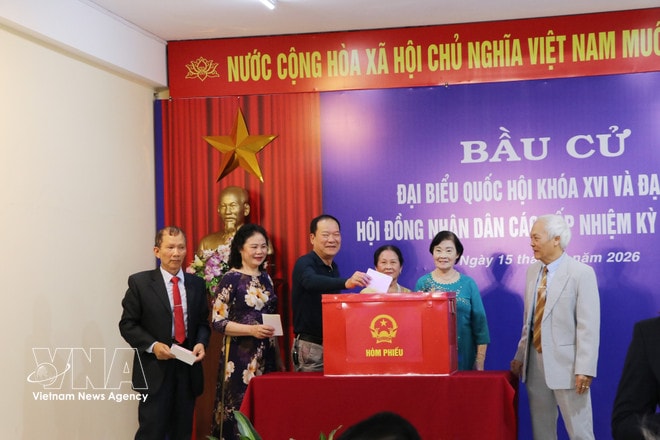 Voters in Hai Duong ward of Hai Phong city cast their ballots. (Photo: VNA) vnanet-potal-gan-32-cu-tri-hai-phong-no-nuc-di-bau-cu-8642870.jpg