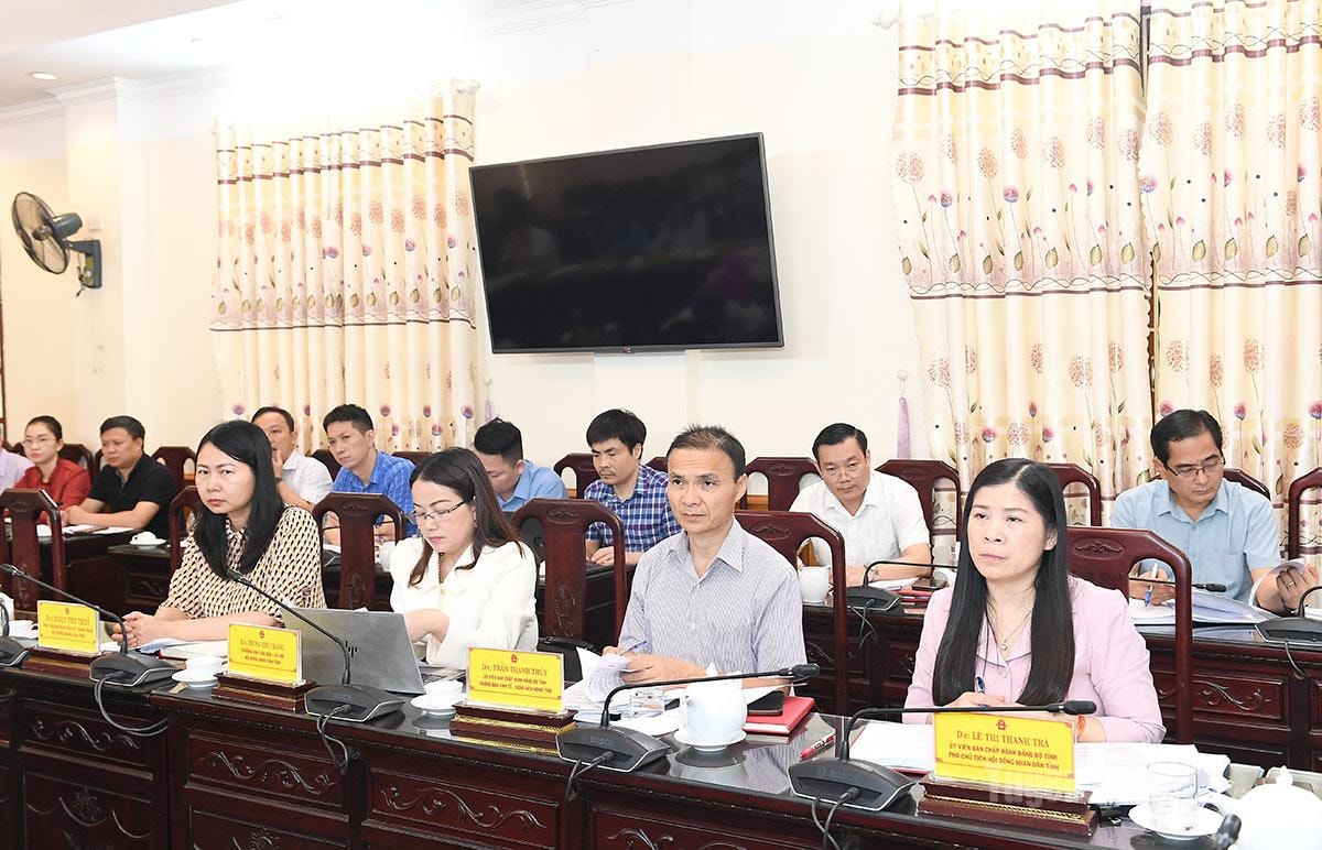 Đồng chí Phó Chủ tịch HĐND tỉnh Lê Thị Thanh Trà và lãnh đạo các Ban HĐND tỉnh dự phiên họp