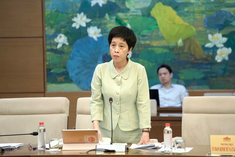 Phó Chủ nhiệm Uỷ ban Kinh tế và Tài chính Nguyễn Thị Phú Hà phát biểu