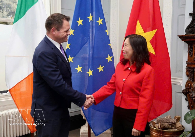 Deputy Foreign Minister Le Thi Thu Hang meets with Irish Minister of State at the Department of Foreign Affairs and Trade Neale Richmond (Photo: VNA)