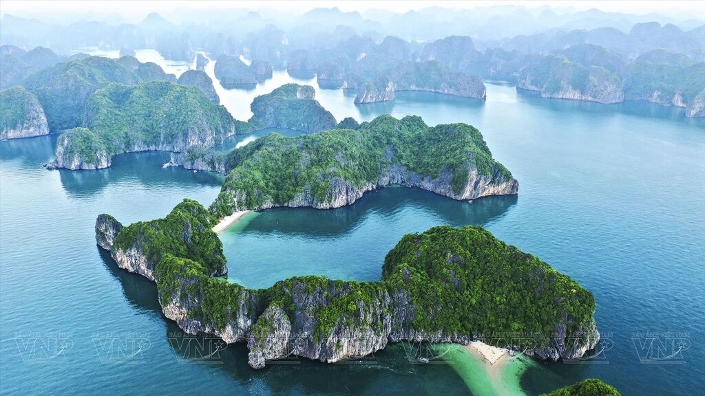 Lan Hạ