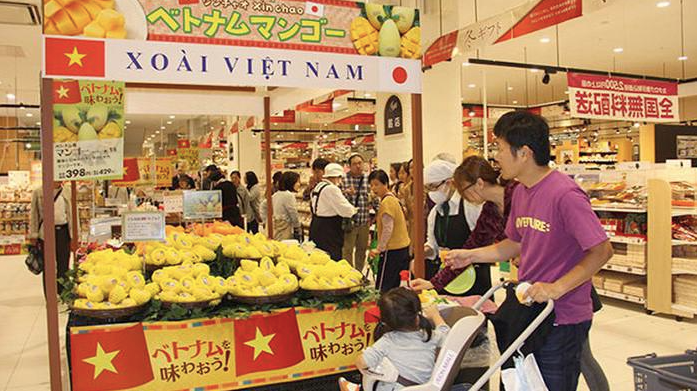 phân phối hàng viêt