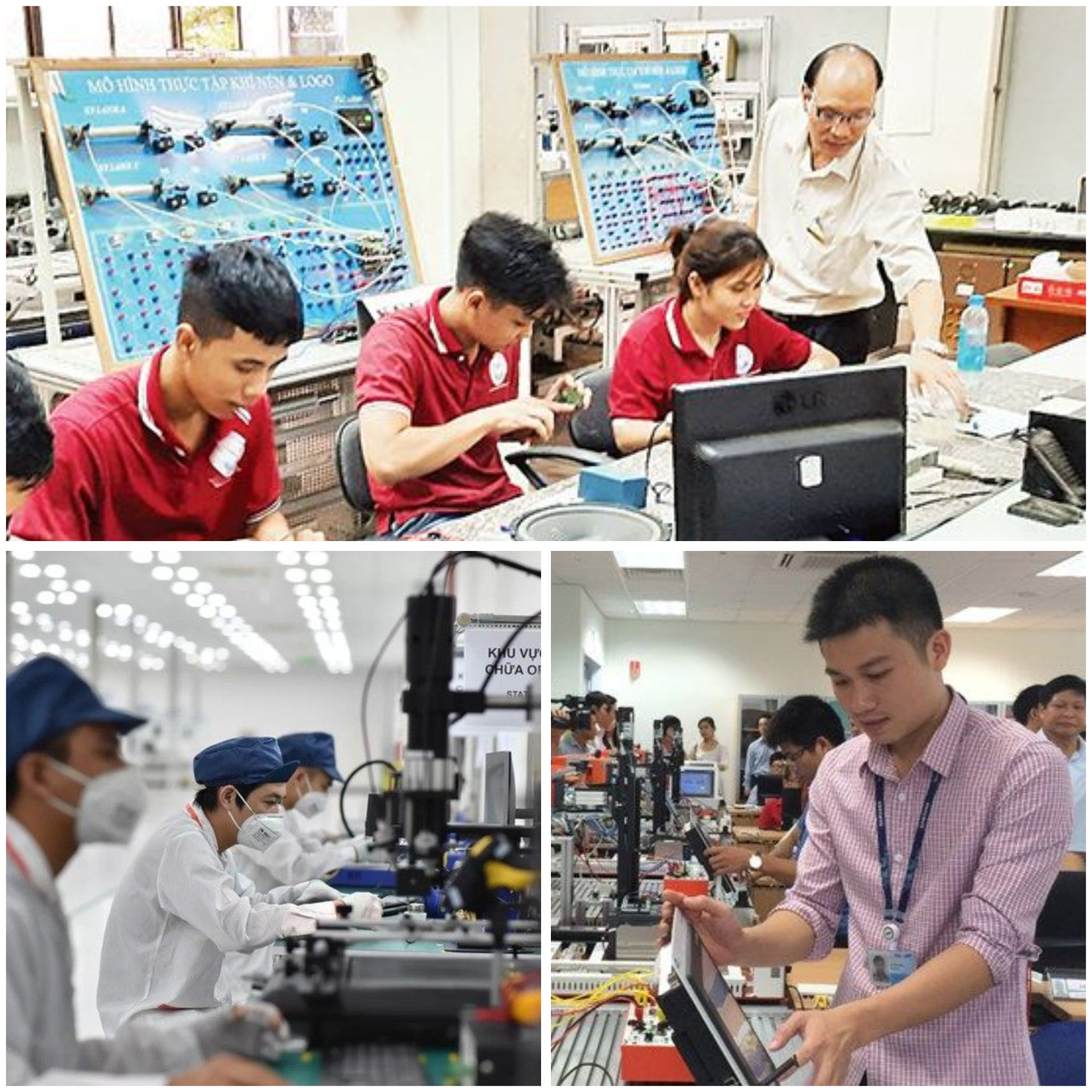 Đào tạo nhân lực0