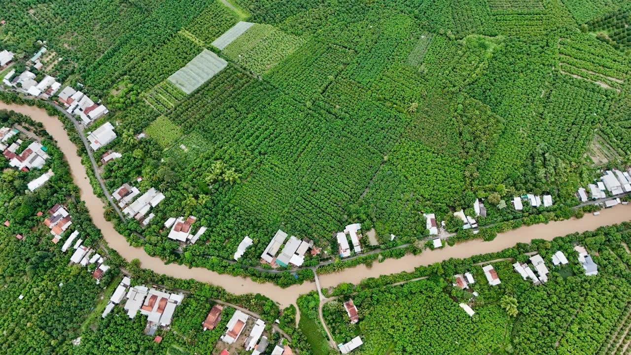 Cu Lao Gieng 1