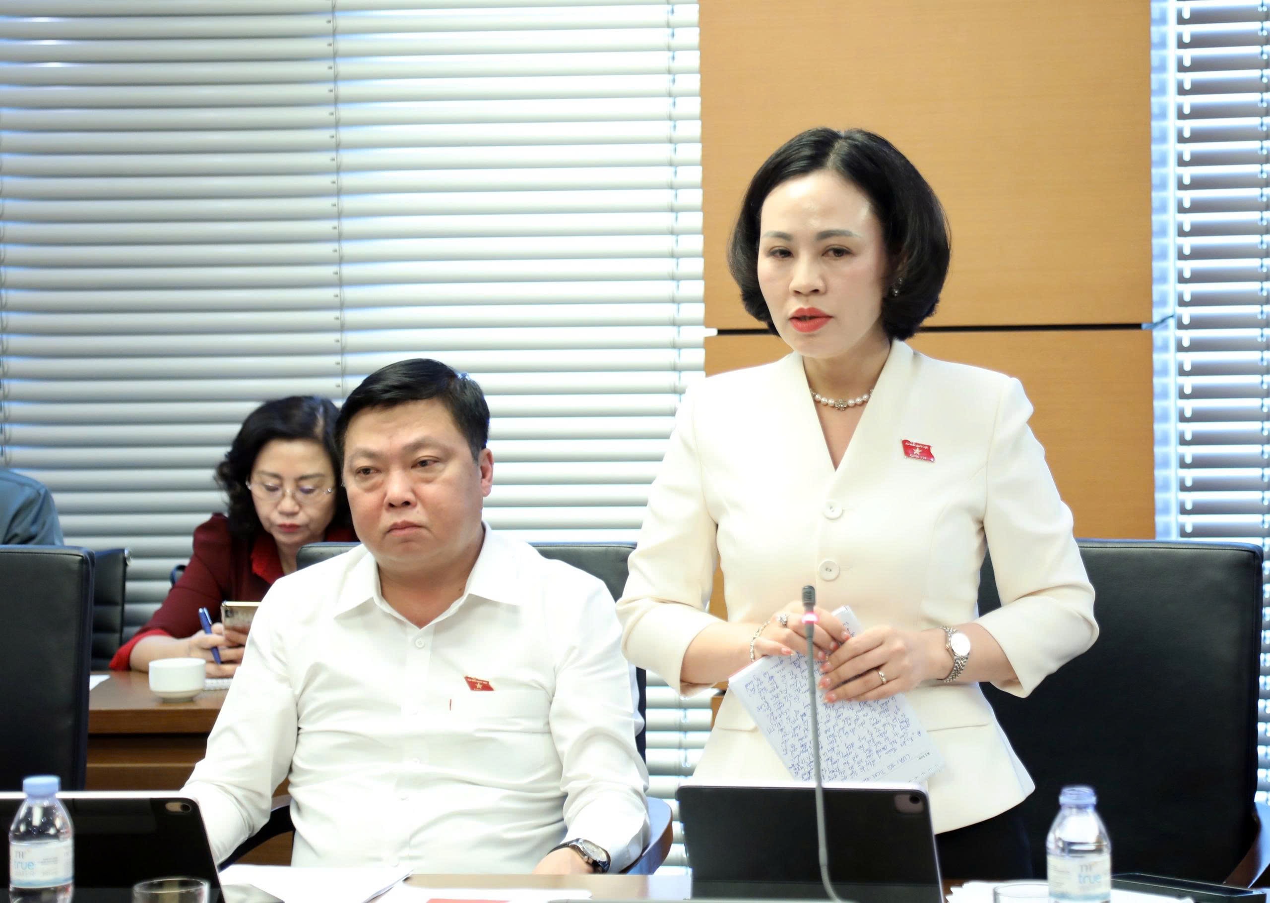 Đại biểu Trần Thị Hồng Thanh - Ninh Bình