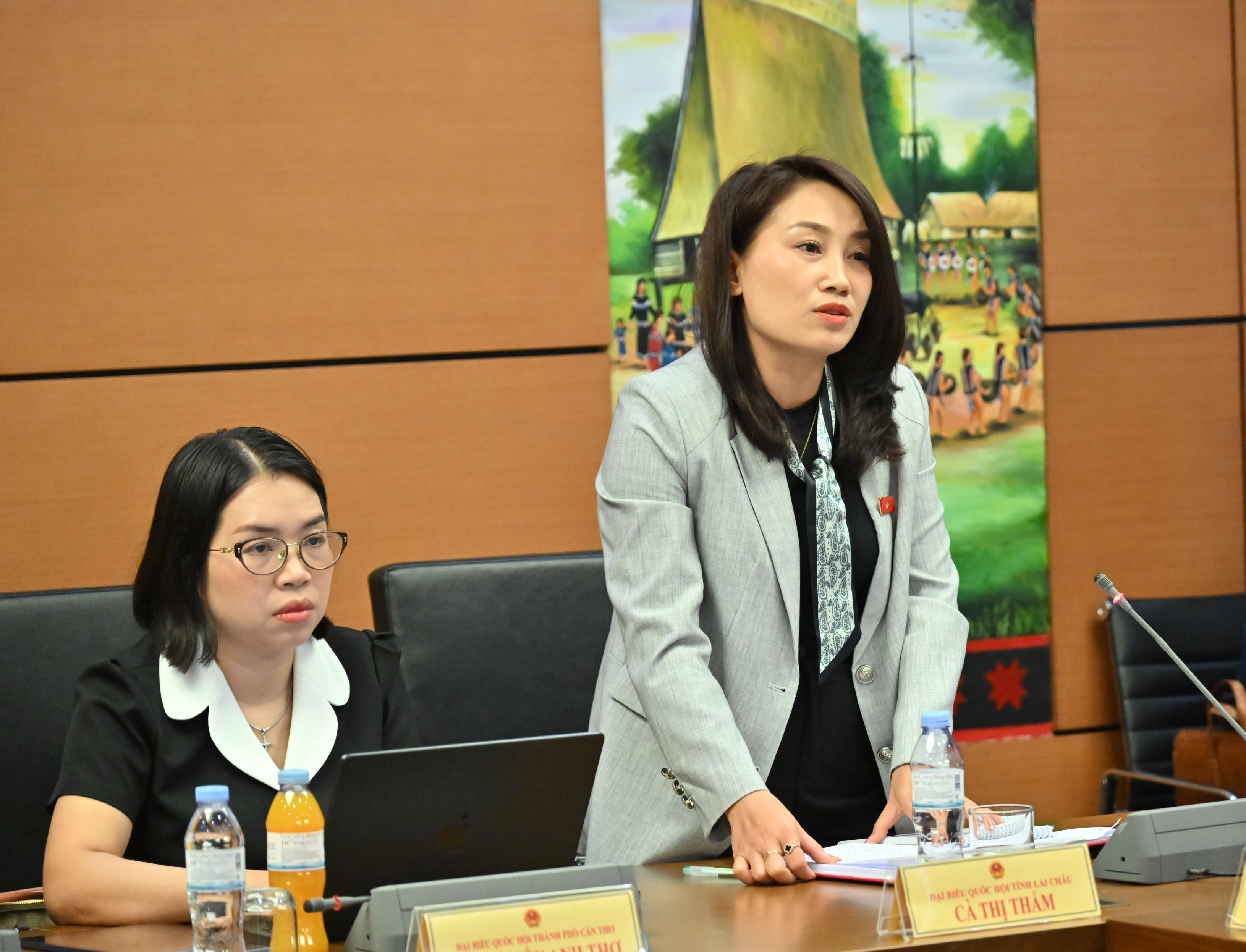 ĐBQH Cà Thị Thắm phát biểu.