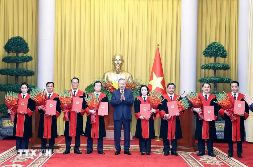Tổng Bí thư, Chủ tịch nước Tô Lâm trao Quyết định bổ nhiệm chức danh Thẩm phán Toà án Nhân dân Tối cao cho các thẩm phán. (Ảnh: Thống Nhất/TTXVN)