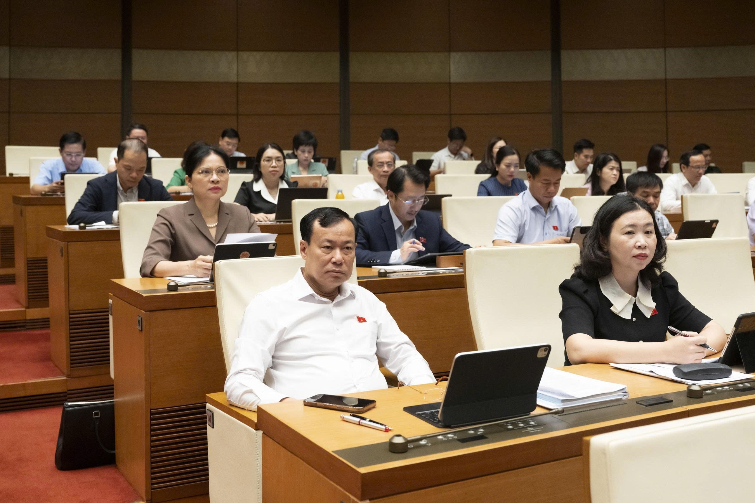 Quốc hội nghe Tờ trình và Báo cáo thẩm tra về các dự án luật 19