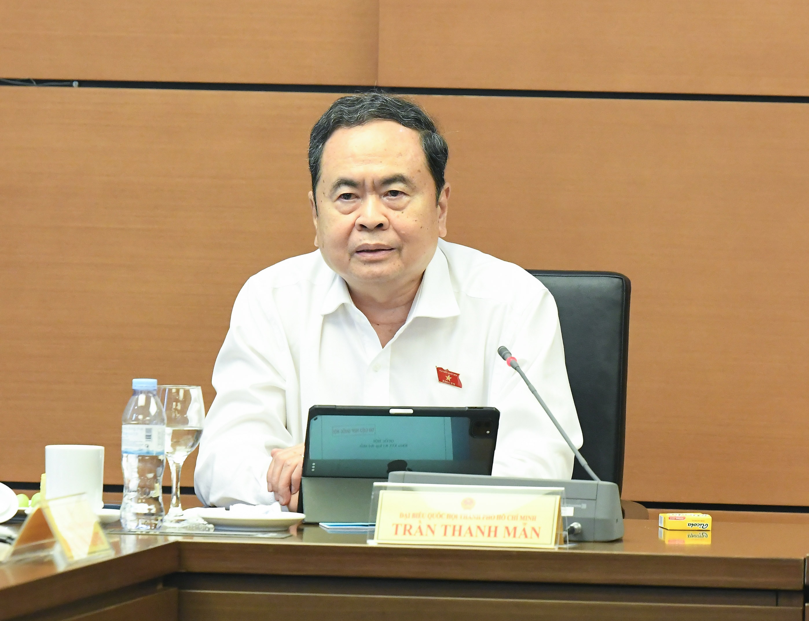Chủ tịch Quốc hội Trần Thanh Mẫn phát biểu ý kiếnDSC_7865