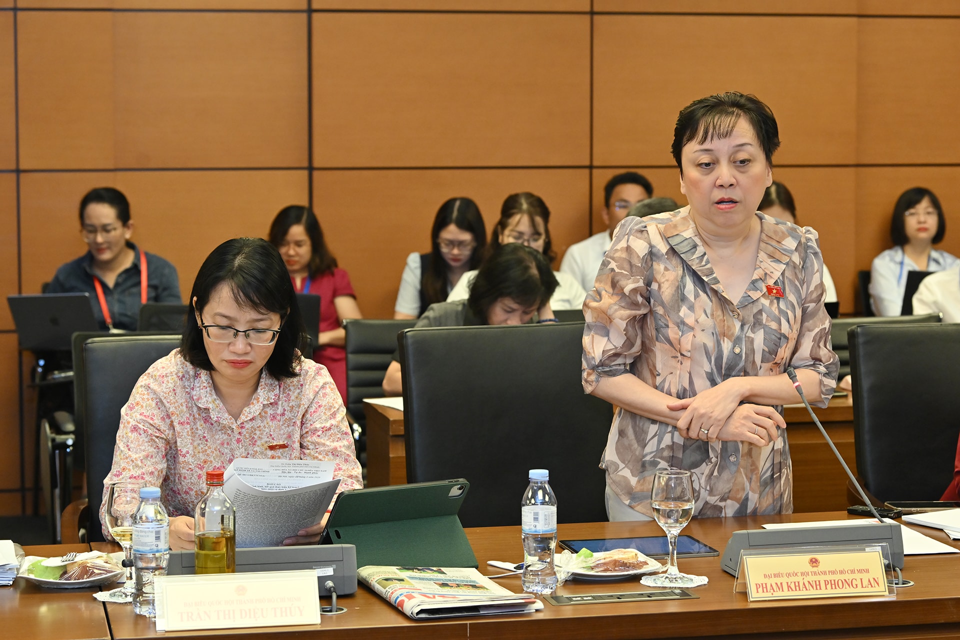 Đại biểu Quốc hội TP Hồ Chí Minh Phạm Khánh Phong Lan phát biểu
