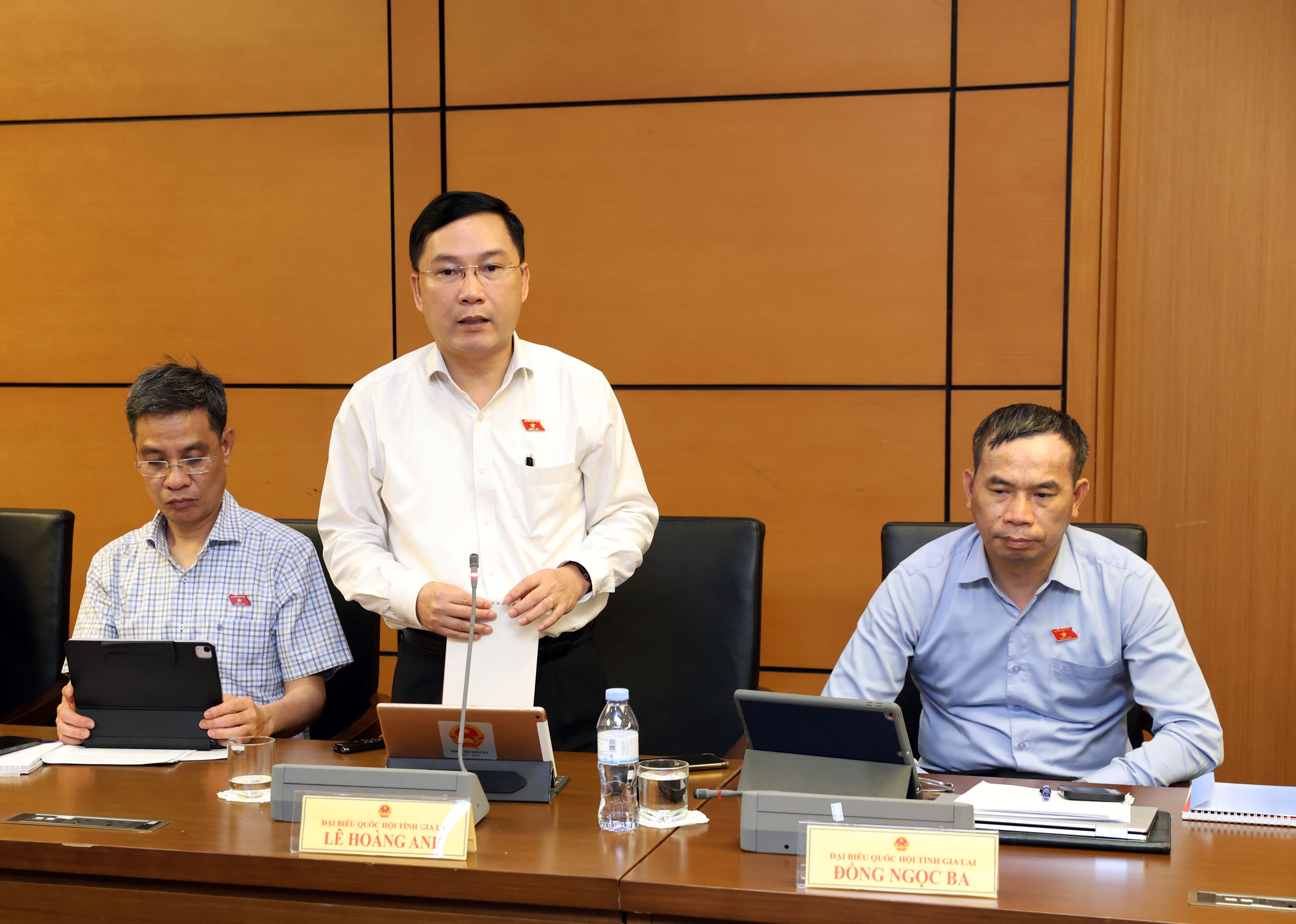 ĐBQH Lê Hoàng Anh (Gia Lai) phát biểu