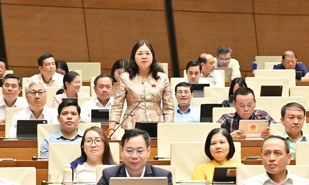 bn1.jpg