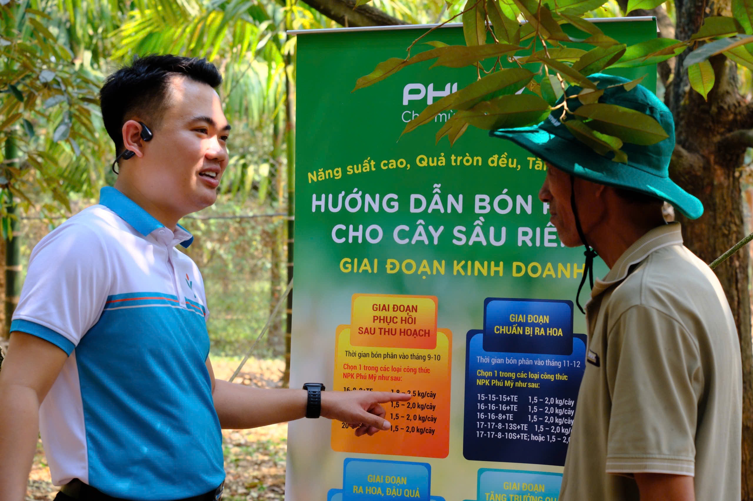 Phu My, esperti agricoli, fornisce consulenza agli agricoltori sull'applicazione corretta e sufficiente del fertilizzante agli alberi di durian.