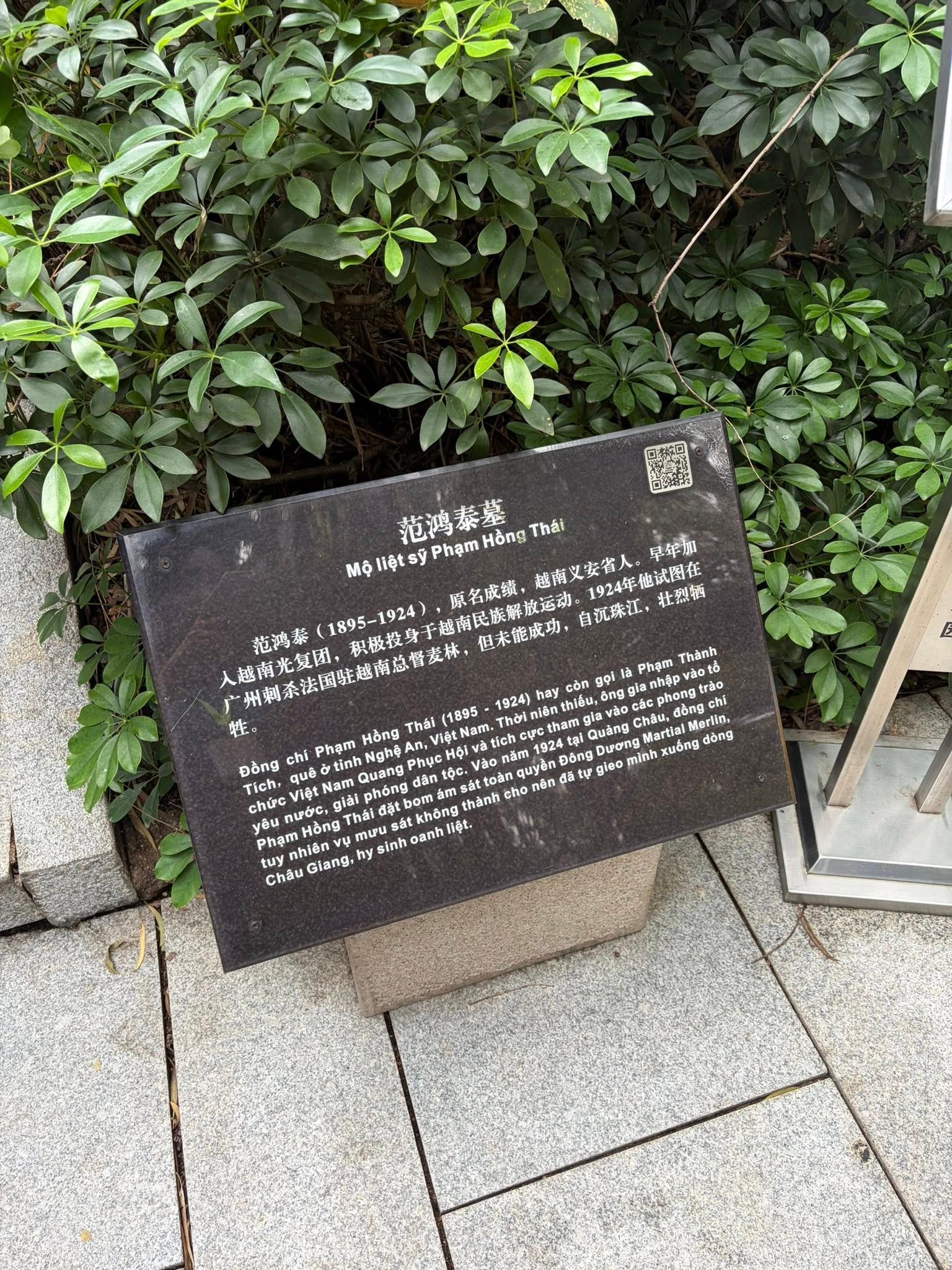670489958_931581502970824_5769308917384738175_n.jpg