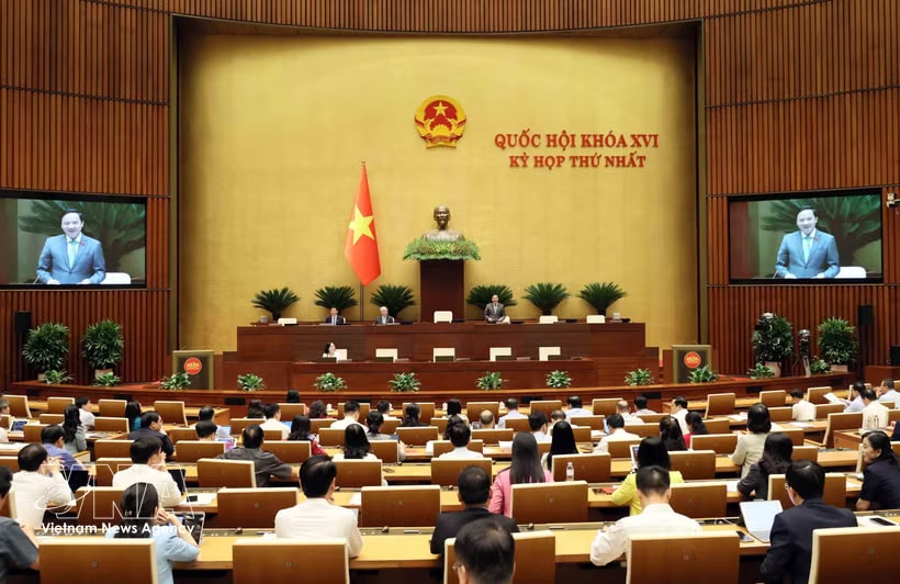 NA Vice Chairman Nguyen Khac Dinh speaks at the 16th National Assembly (NA)’s first session on April 20 (Photo: VNA)