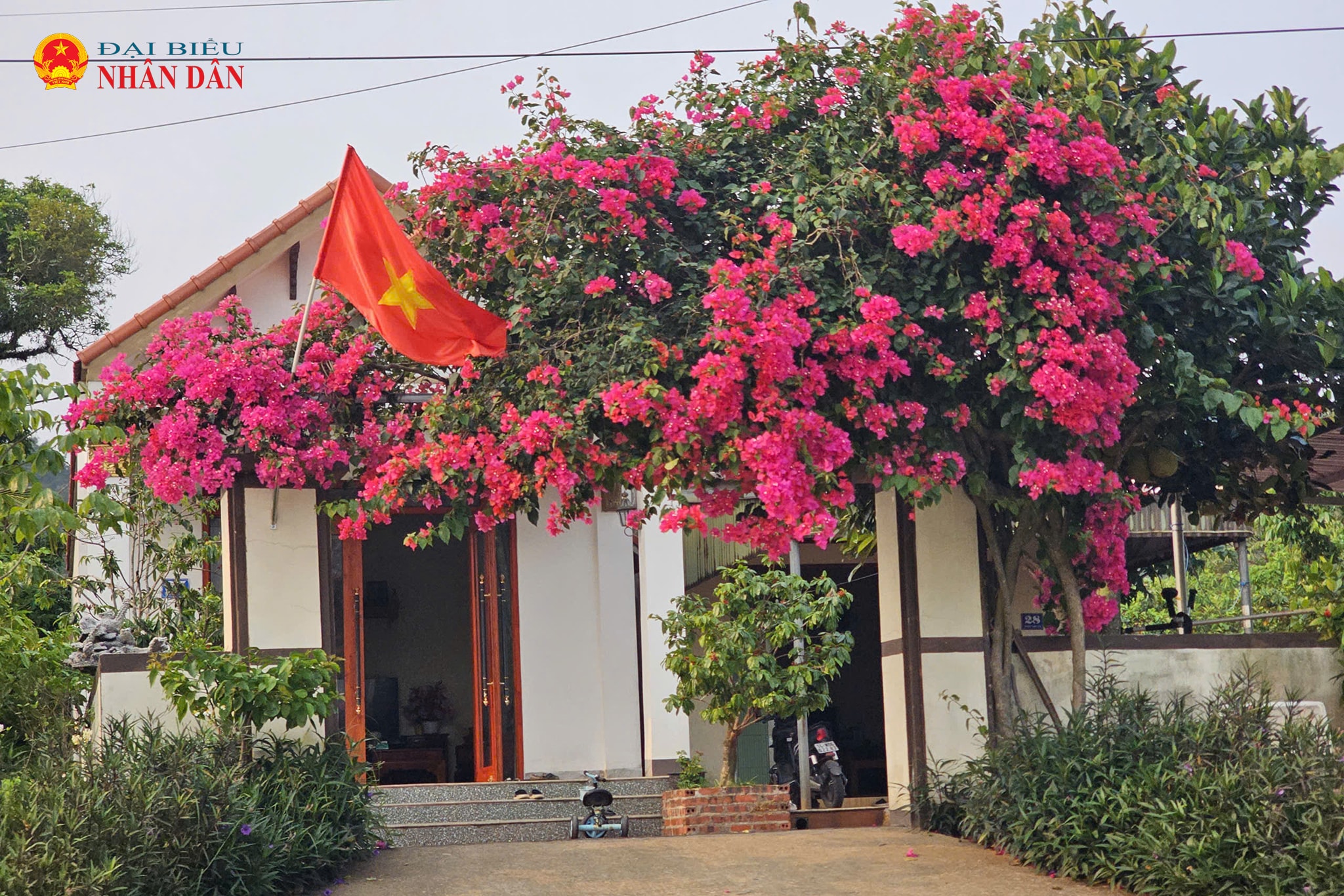 cái chiên (13)