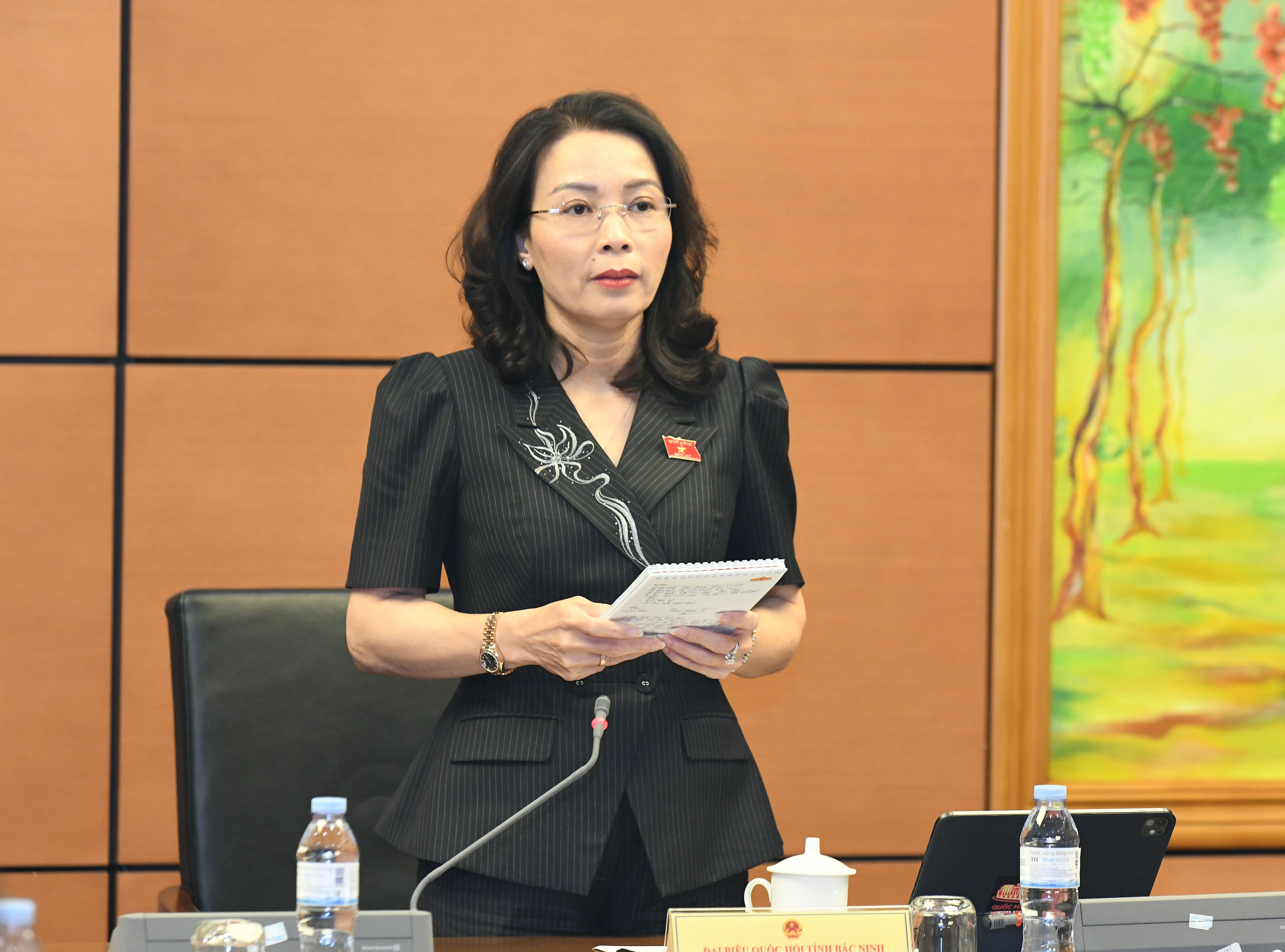 Đại biểu Quốc hội tỉnh Bắc Ninh Nguyễn Thị Hương phát biểu.1