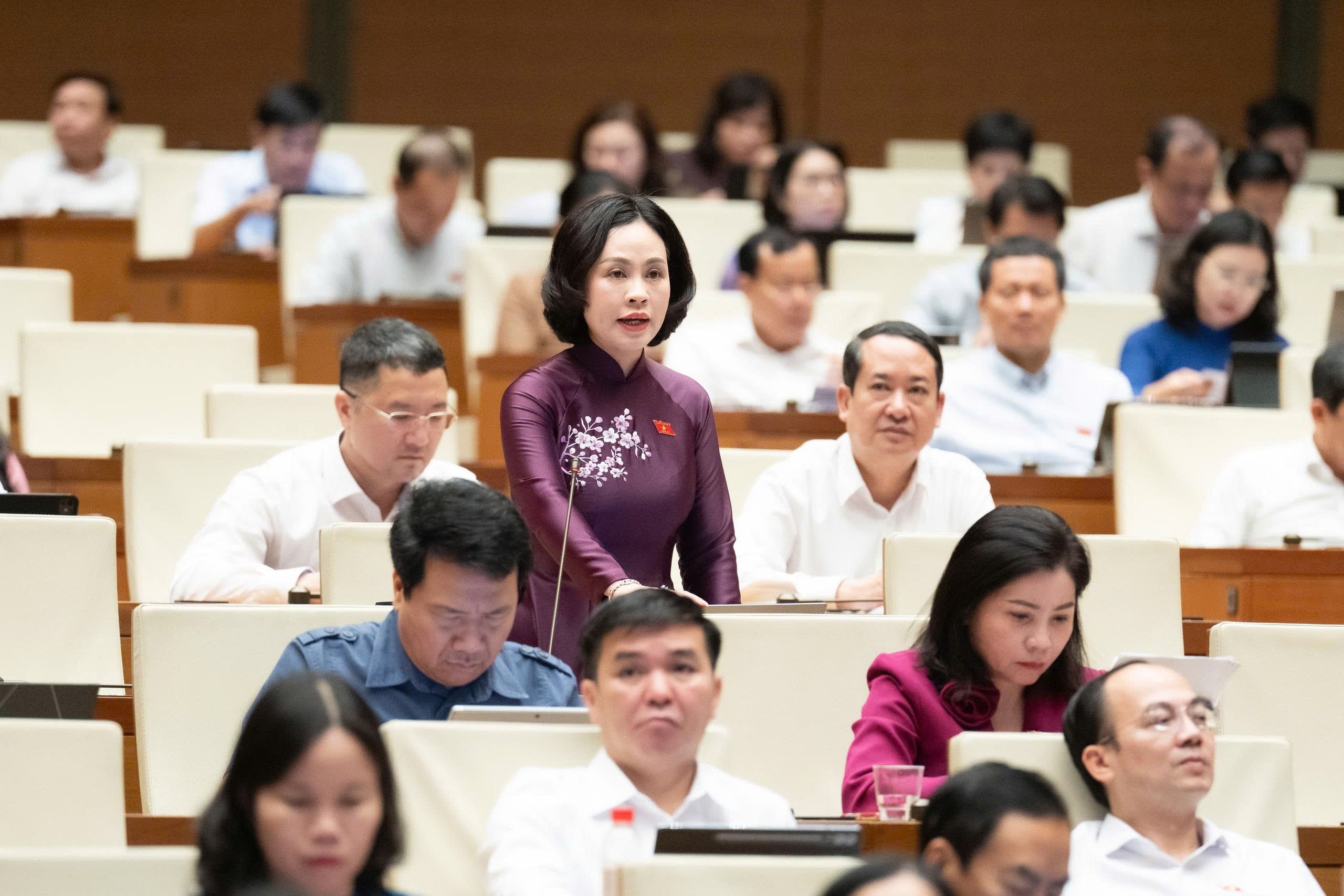 ĐBQH Trần Thị Hồng Thanh - Ninh Bình