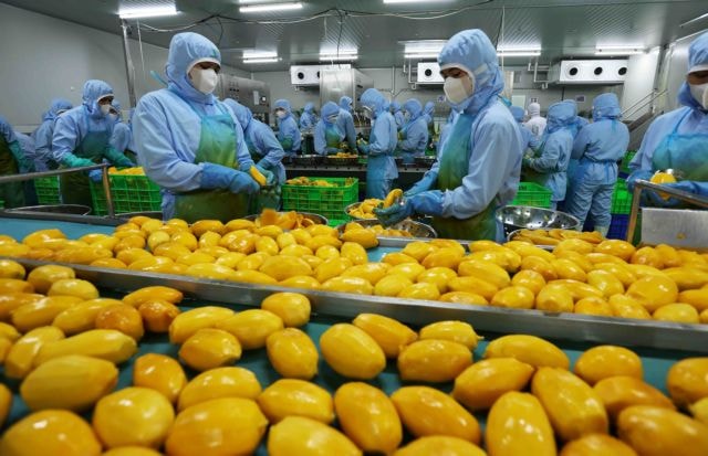 image.vietnamnews.vn-uploadvnnews-article-2025-1-7-_398509_mango.jpg