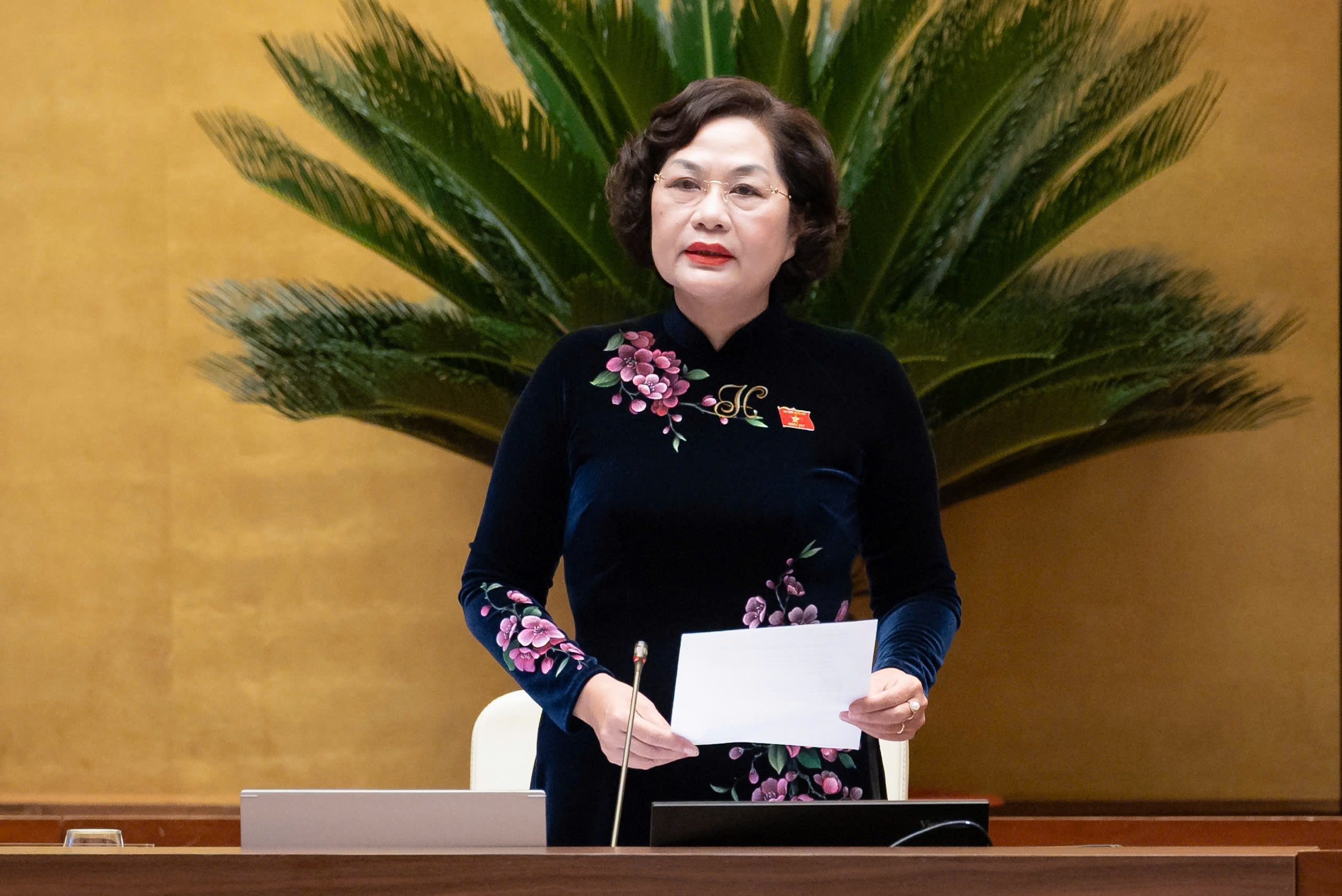 Phó Chủ tịch Quốc hội Nguyễn Thị Hồng 2