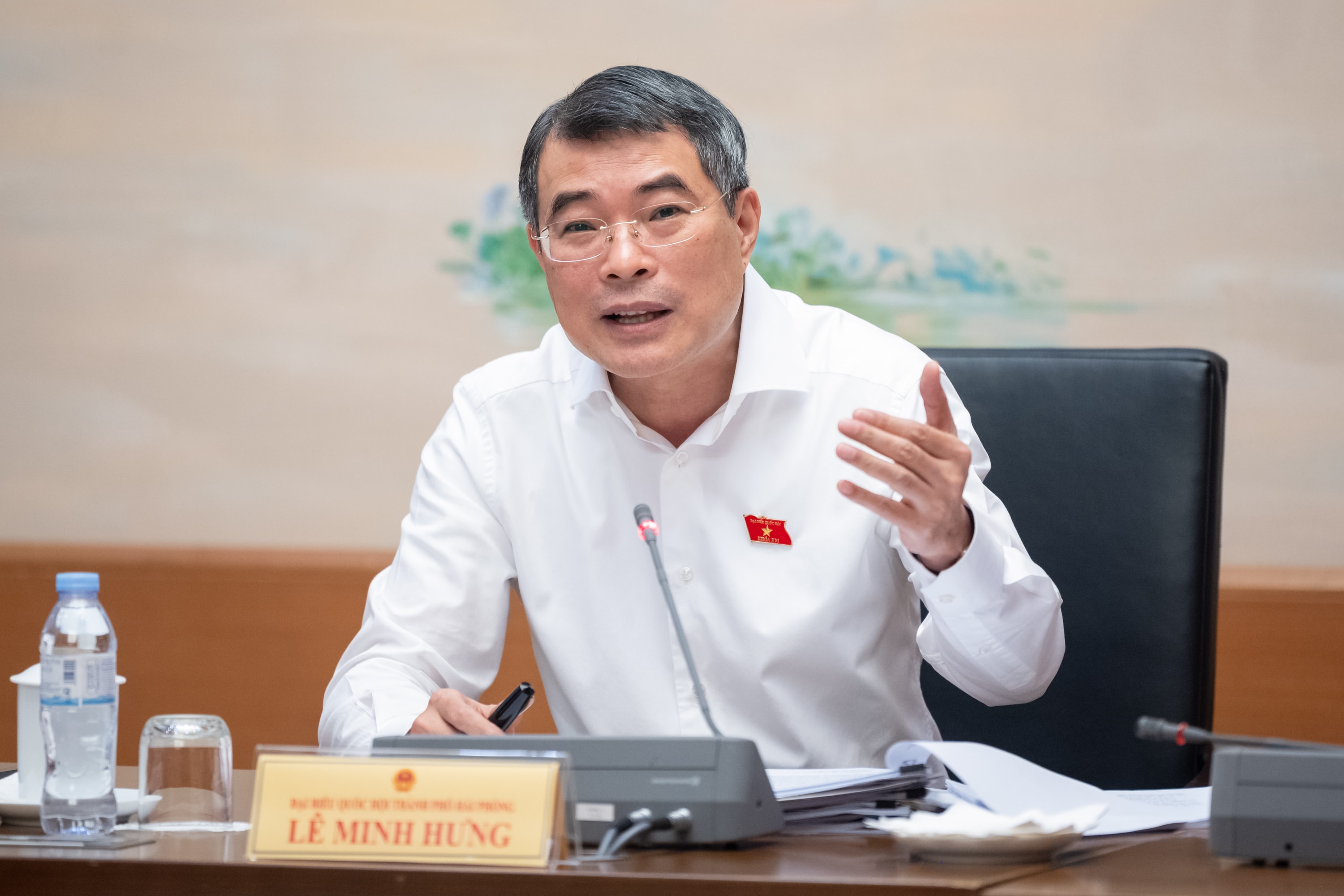 Thủ tướng Chính phủ Lê Minh Hưng phát biểu