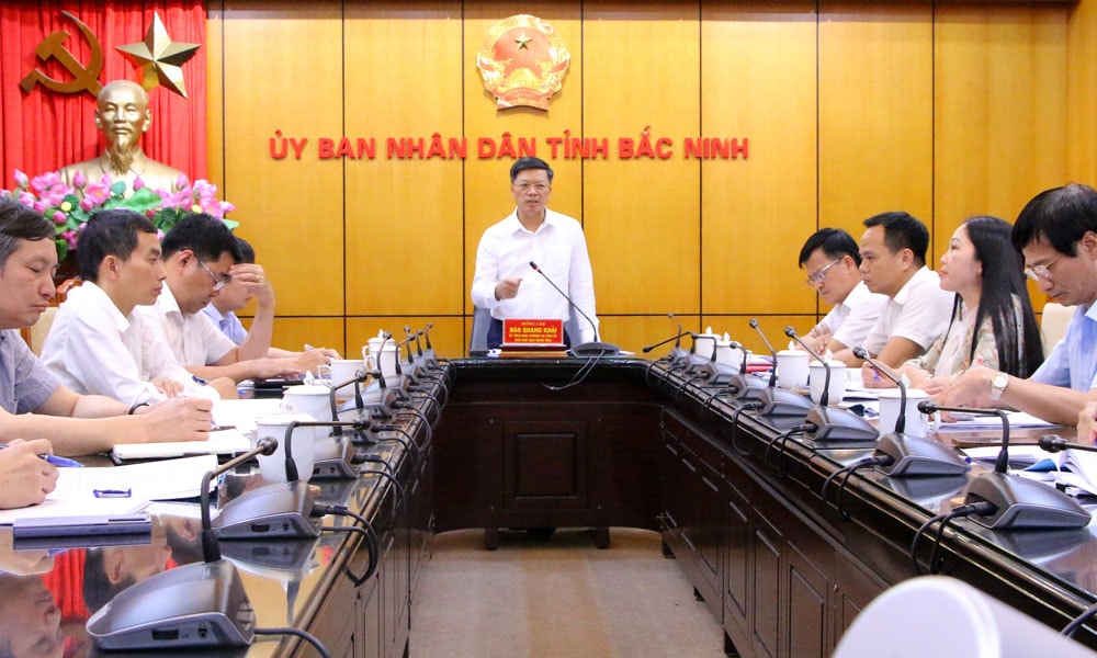 Phó Chủ tịch UBND tỉnh Bắc Ninh Đào Quang Khải phát biểu.