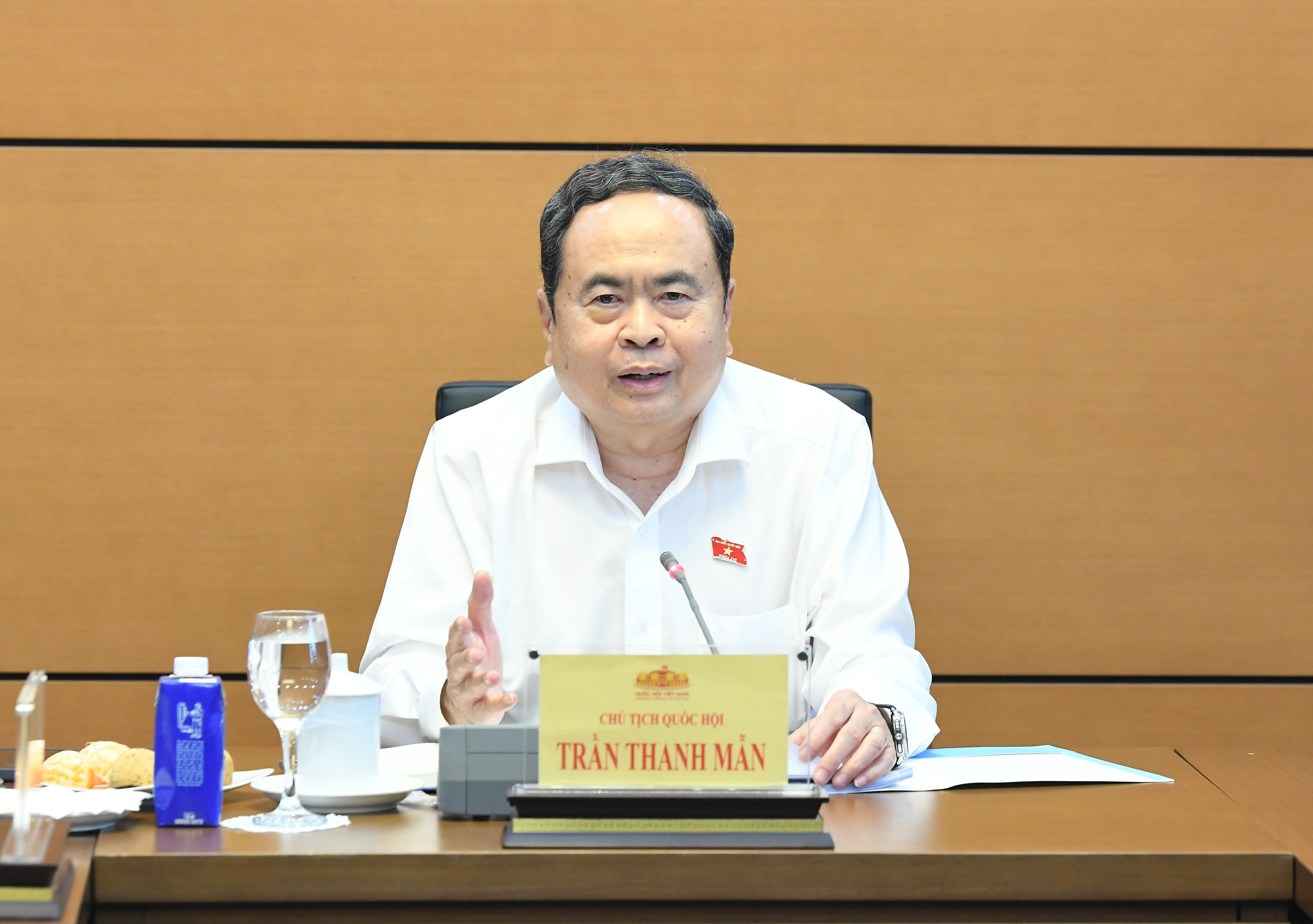 Chủ tịch QH Trần Thanh Mẫn phát biểu ý kiến.2