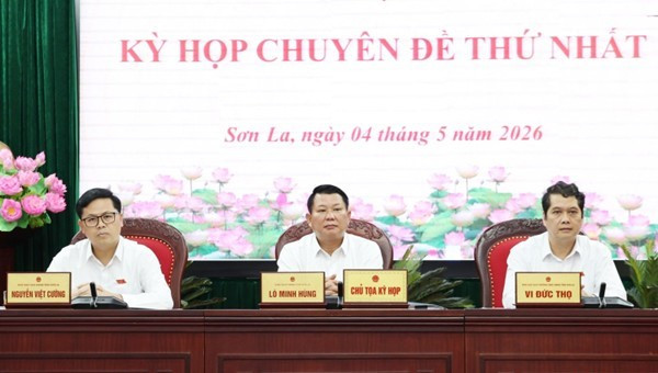 Kỳ họp chuyên đề 1.1