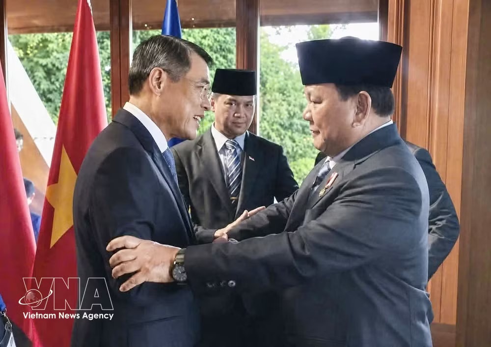 Vietnamese Prime Minister Le Minh Hung and Indonesian President Prabowo Subianto at their meeting on May 8 (Photo: VNA) vnanet-indo.jpg