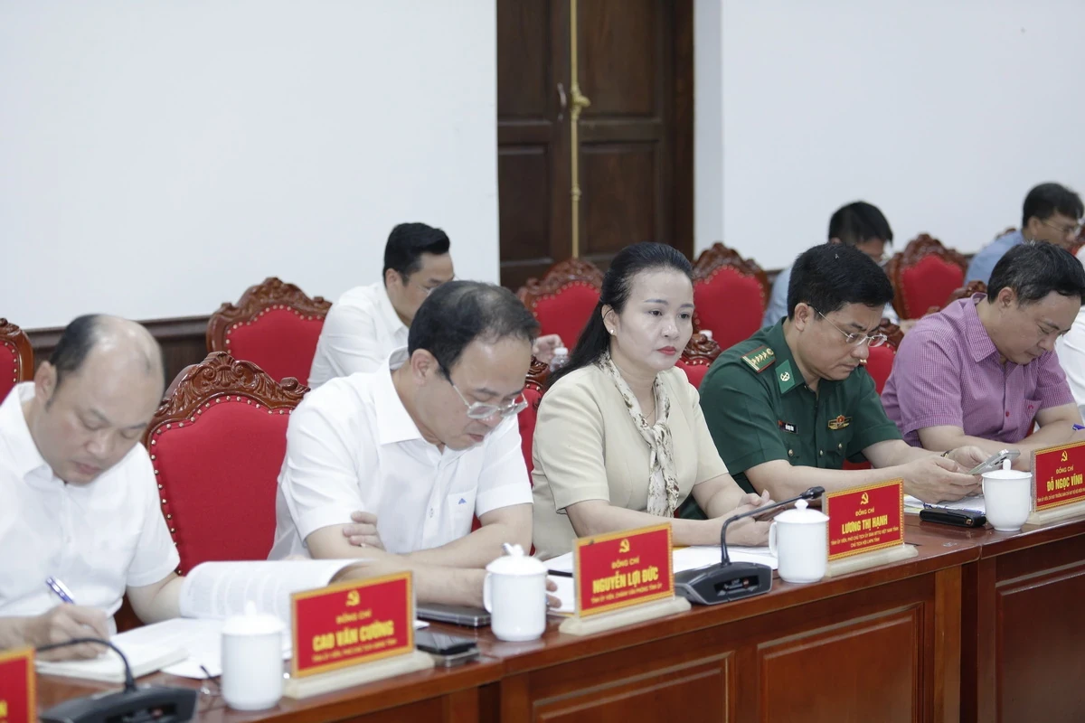 147d6093615t11200l1-hb-3833-resize6.webp