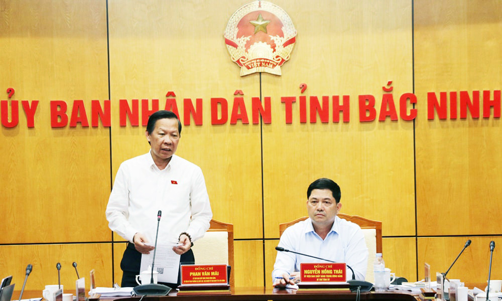 bn1.jpg