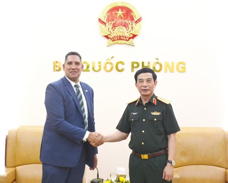 Deputy Prime Minister and Minister of National Defence General Phan Van Giang (R) receives Swedish Ambassador Johan Ndisi (Photo: baochinhphu.vn)