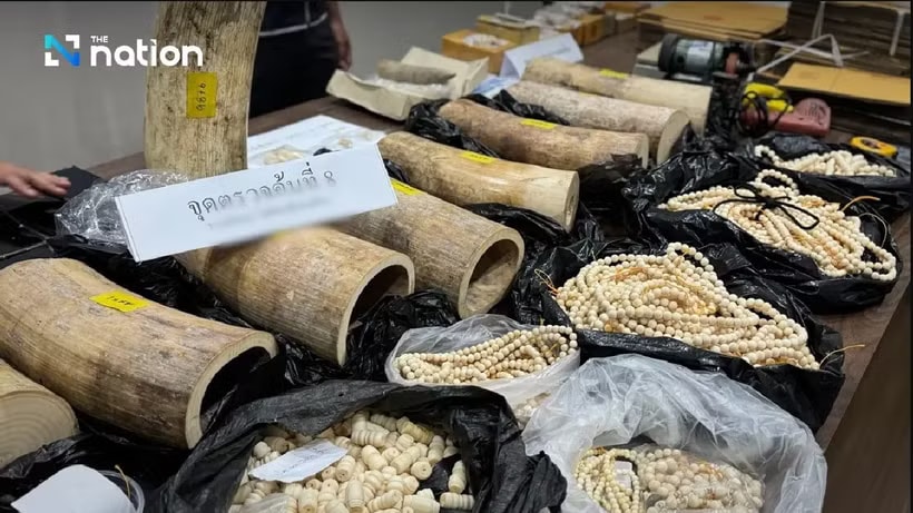 Thai police announce biggest ivory seizure in a decade (Photo: nationthailand)