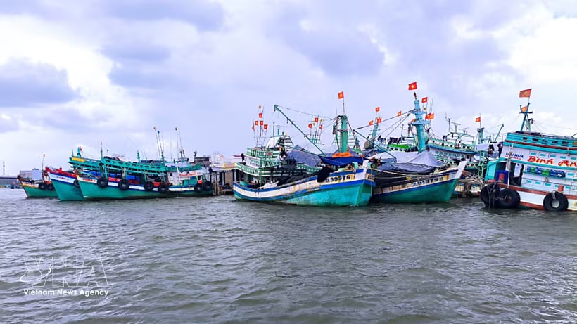 Located at Vietnam’s southernmost tip, Ca Mau possesses more than 310km of coastline and a fishing fleet of over 5,000 vessels. (Photo: VNA)