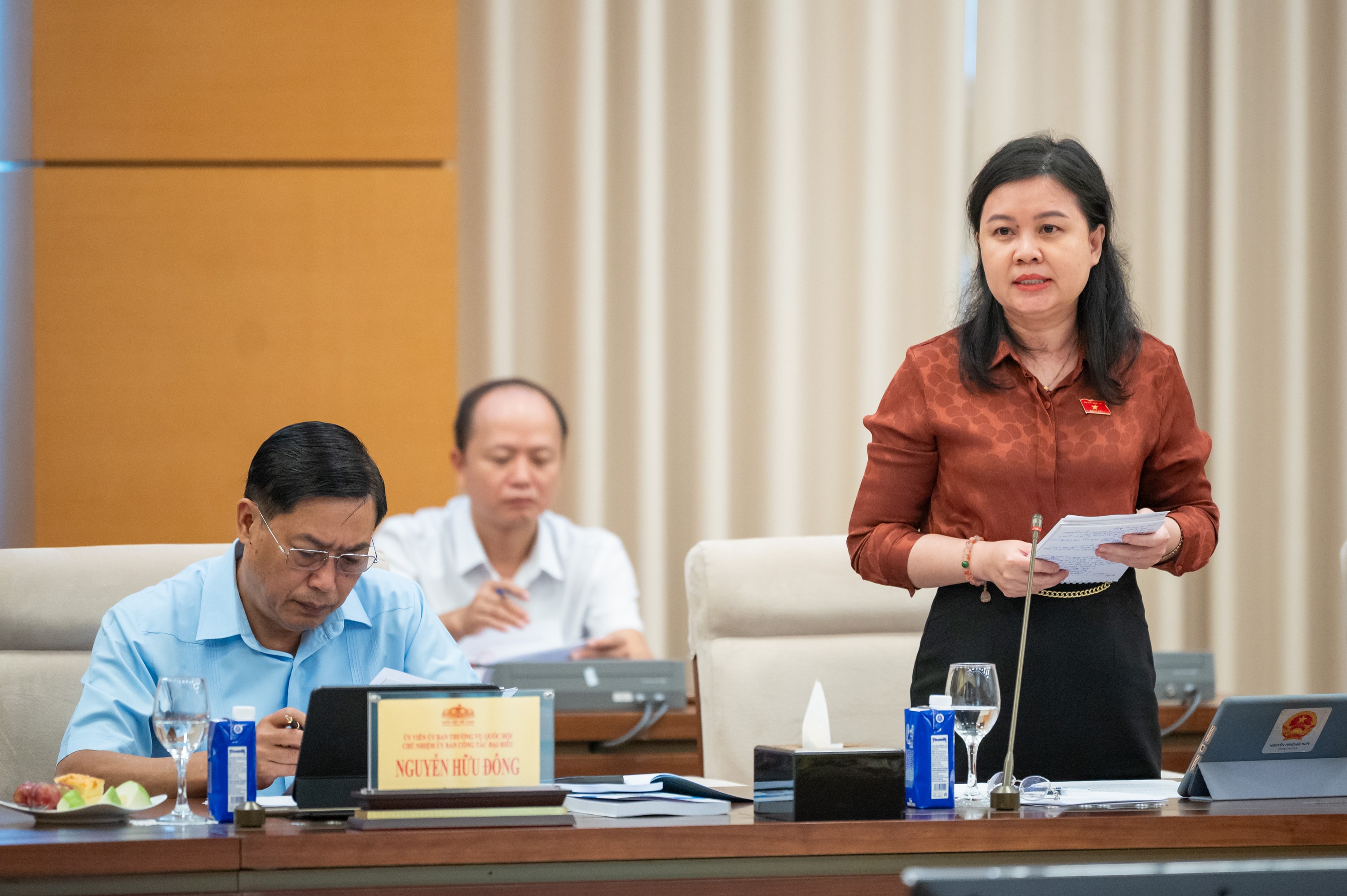 Phó Chủ nhiệm Ủy ban Pháp luật và Tư pháp Nguyễn Phương Thủy phát biểu