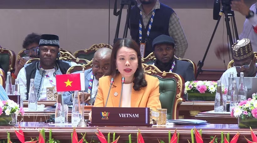 Deputy Minister of Foreign Affairs Nguyen Minh Hang speaks at a discussion session on reforming multilateral systems and global governance, held on May 15, 2026, as part of the expanded BRICS Foreign Ministers’ Meeting in India. (Photo: VNA)
