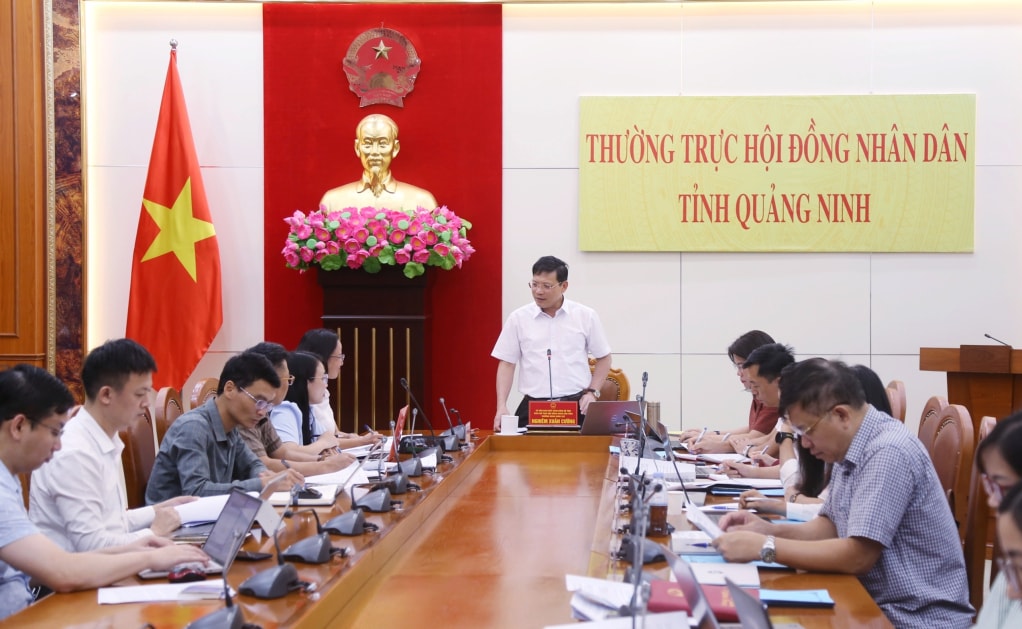 Phó Chủ tịch HĐND tỉnh Nghiêm Xuân Cường, Trưởng đoàn giám sát, chủ trì buổi làm việc. Ảnh Nguyễn Thanh