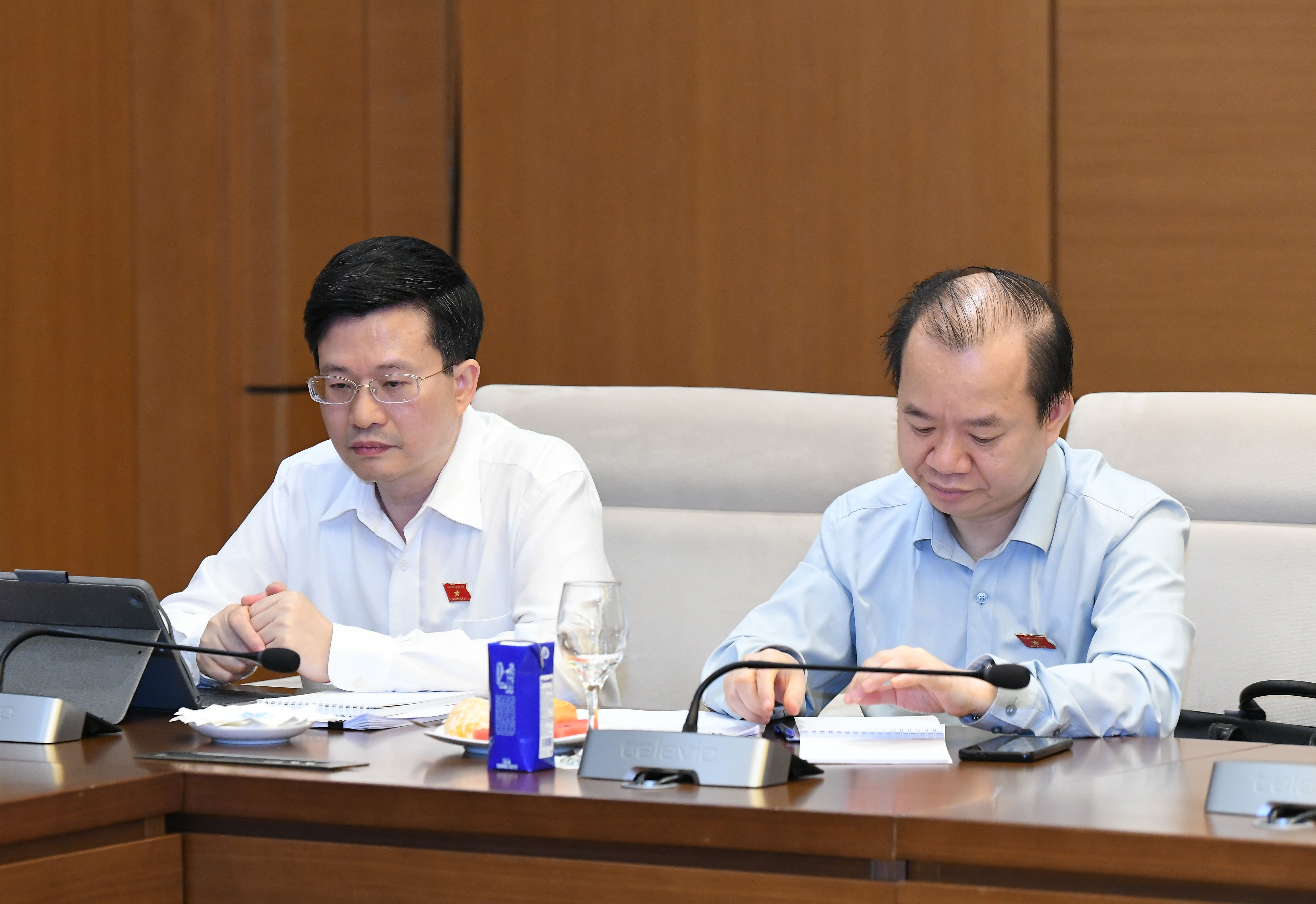 Các đại biểu tham dự phiên làm việc.3