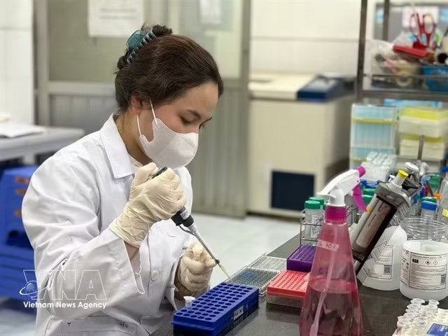 Nguyen Nhat Ly, a master’s student in biotechnology at the Vietnam National University, Hanoi’s VNU University of Science, conducts an experiment at the school lab. (Photo: VNA)