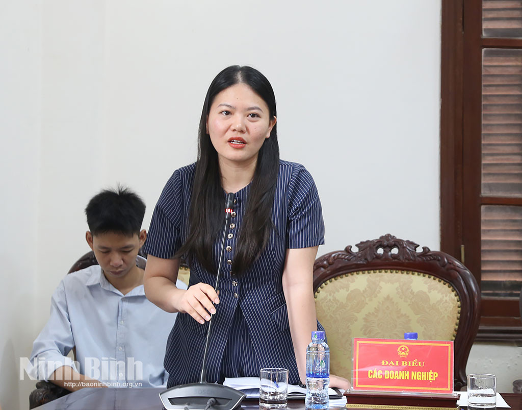ubnd-tinh-nghe-bao-cao-tien-do-trien-khai-cong-tac-to-chuc-61a8.jpg