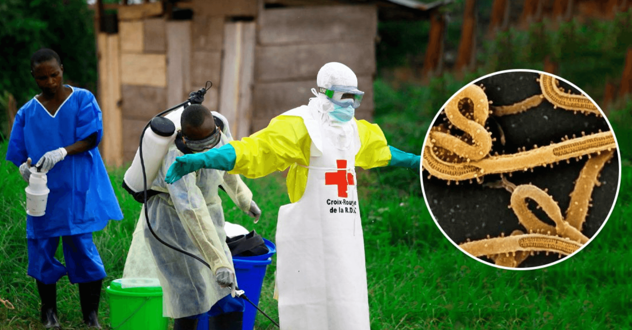 ebola 6