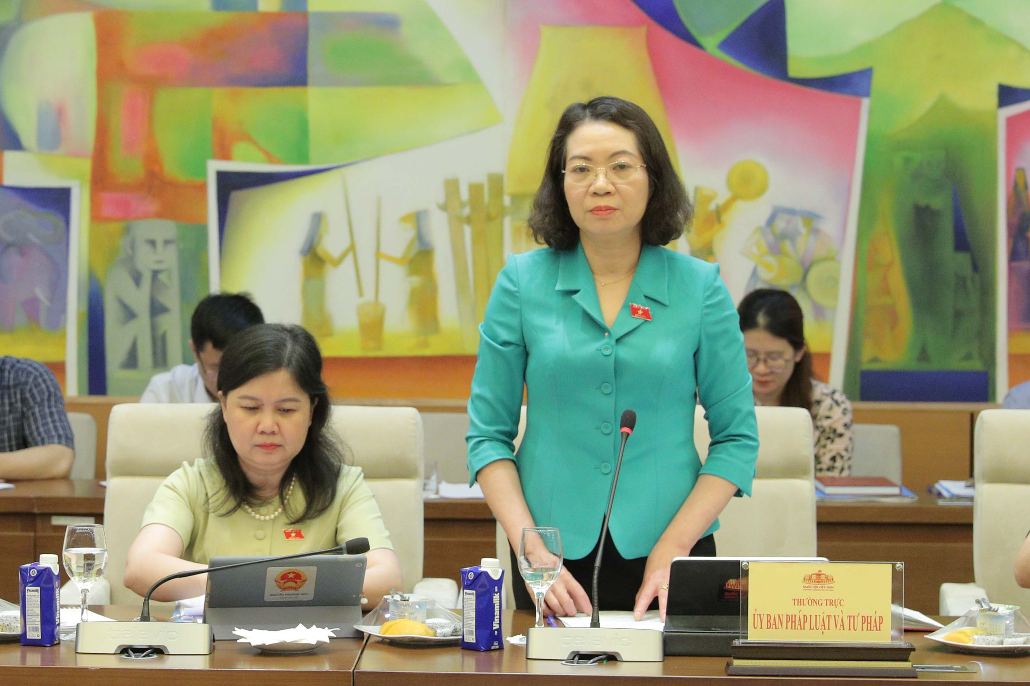 Phó Chủ nhiệm Ủy ban Pháp luật và Tư pháp Mai Thị Phương Hoa