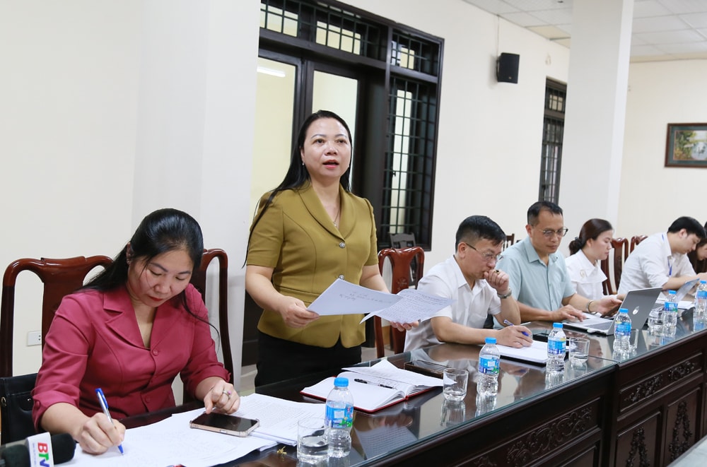 Thành viên Đoàn giám sát phát biểu tại cuộc làm việc với