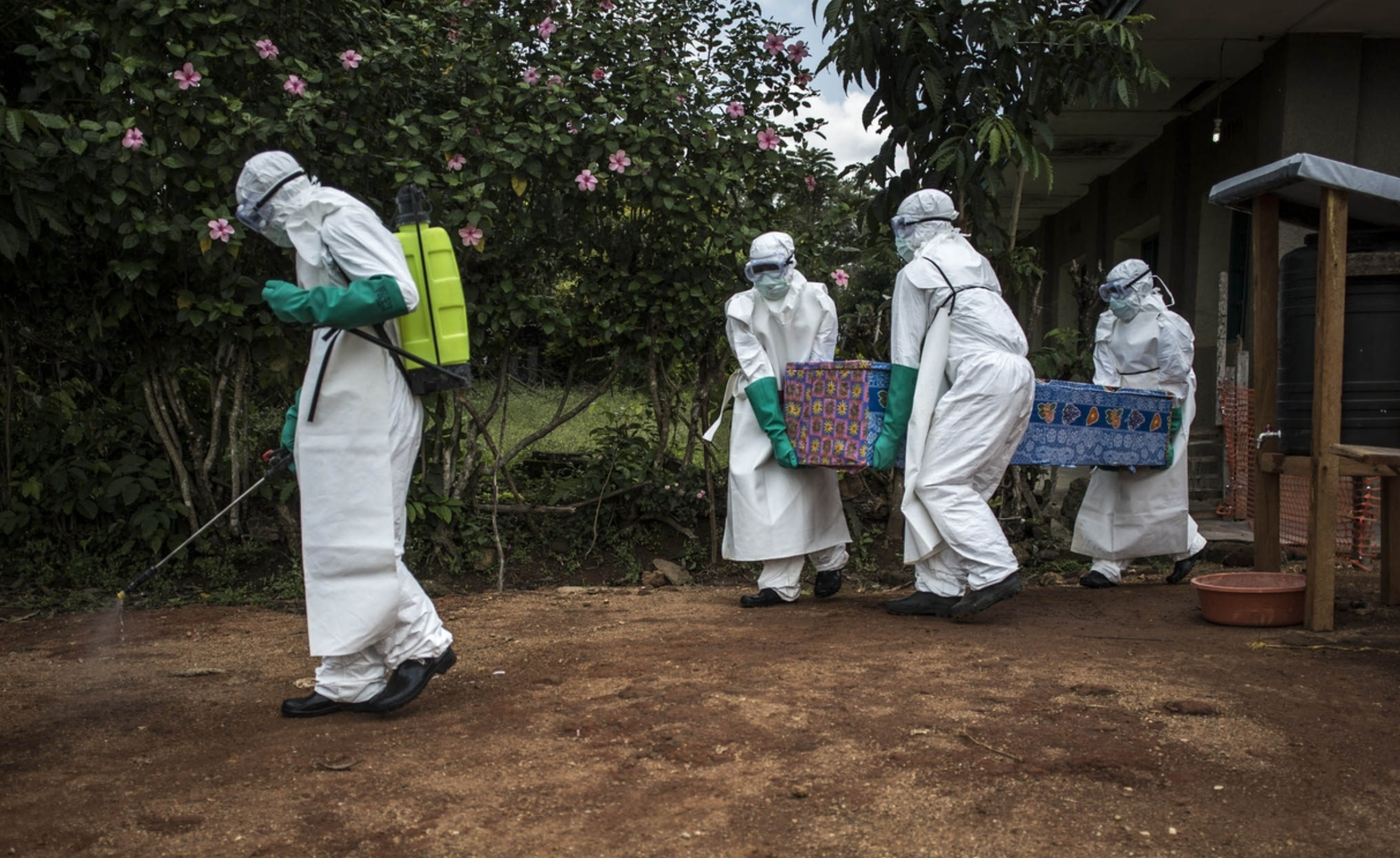 ebola-1.png