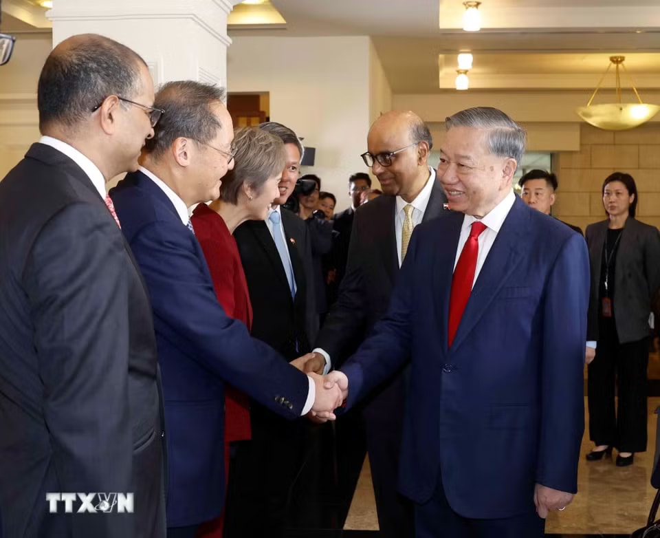 a83afbd079ba41b24-_ttxvn-le-don-tong-bi-thu-chu-tich-nuoc-to-lam-va-phu-nhan-tham-cap-nha-nuoc-toi-singapore-2905-5.jpg.avif.jpg